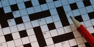 cruciverba-schema-libero