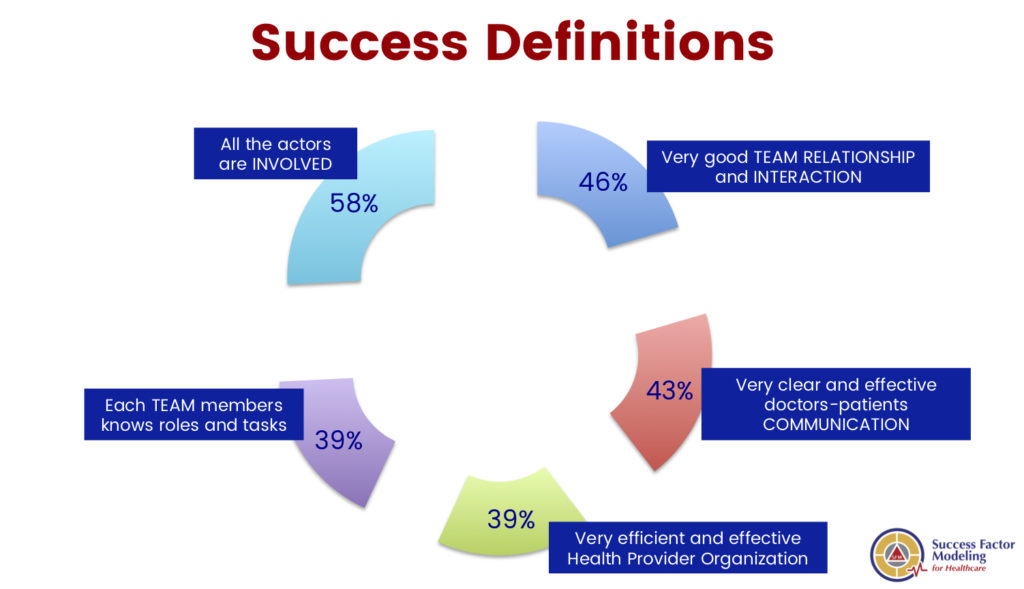sfm-for-healthcare-success-definitions-results